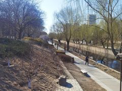 -元大都城垣遗址公园