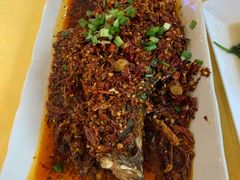 炝香刺婆鱼-胖大姐黄辣丁鱼庄(新津店)
