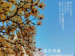-睦南公园
