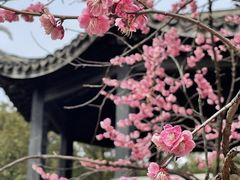 -无锡梅园公园