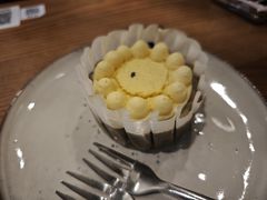 -Wagas沃歌斯(枫蓝国际店)