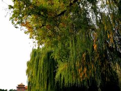 -东华门大街小区