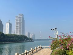 -白鹭洲公园