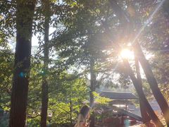 -四明山国家森林公园