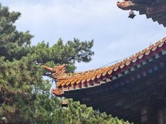 -普乐寺
