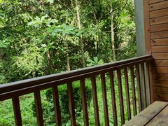 -武陵山森林公园