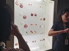 -青岛贝壳博物馆