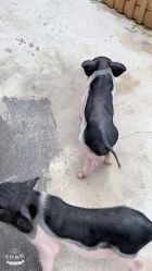 -三分地生态园·儿童乐园