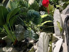 -喜庭海鲜自助(北辰三角洲北辰荟店)
