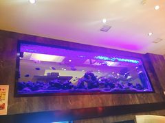 景观位-琴寿司居酒屋(软件园店)