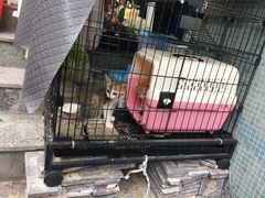 -虚荣精酿酒屋(五羊店)