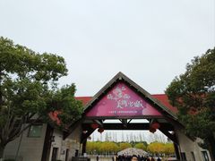 -上海海湾国家森林公园