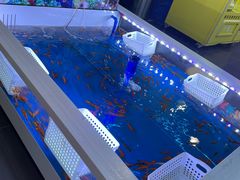 -大玩家(安吉万达店)