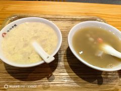 -海丝金凤(金鱼店)