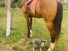 -丹世红酒庄·烧烤·团建·婚礼·水上运动