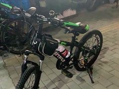 -道路口单车爱瓦士dahon大行