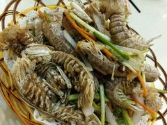 -吉香碳烤生蚝(仙霞路店)