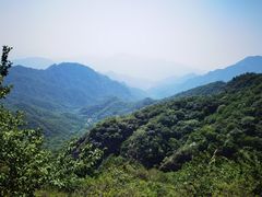 -大岭沟猕猴桃谷风景区