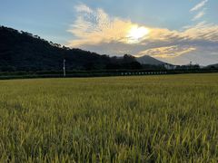-艾米稻香小镇
