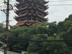 -黄鹤楼公园(黄鹤楼)