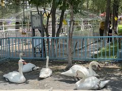 -水上乐园·欢乐世界