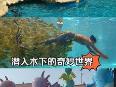 -秦皇岛乐岛海洋王国