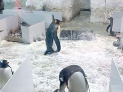 -大连圣亚海洋世界