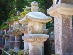 -奈良公园