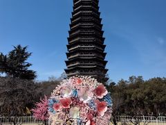 -红梅公园
