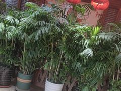 -东北大院·东北菜(三台子店)