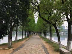 -食膳公园包子铺(烈士公园店)