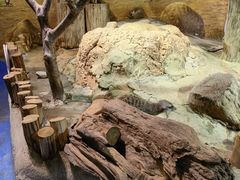 -正佳雨林生态植物园