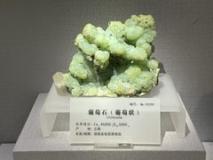 -湖南省地质博物馆