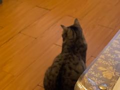 -树洞咖啡(科大店)