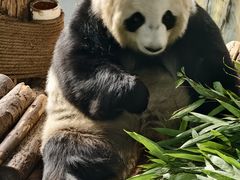 -青藏高原野生动物园