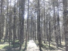 -石棉县孟获城