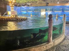 -天怡·鱼工厂(临江店)