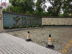 -上海交通大学医学院附属上海儿童医学中心(陆家嘴总院区)