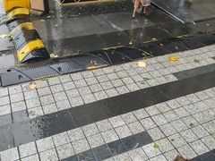 -万科美好广场