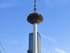 -辽宁电视塔
