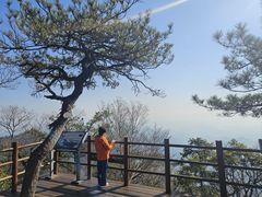 -天目山大树王景区