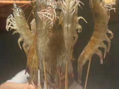 -海月轩海鲜豆捞(紫金塔店)