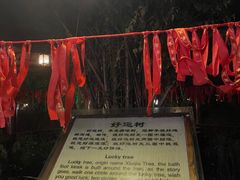 -庐山天沐温泉度假村