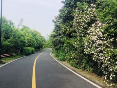 -宝界山林公园