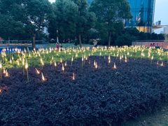 -北外滩滨江绿地