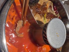 -九码头重庆毛肚火锅(棠岗店)