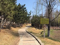 -前关湿地公园