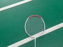 -东丽温泉羽毛球