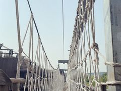 -呀路古热带植物园