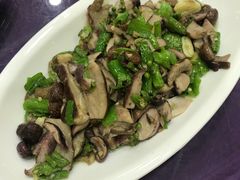 -大笮风(体育馆总店)